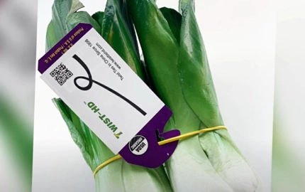 RUBBER BAND WITH LABEL